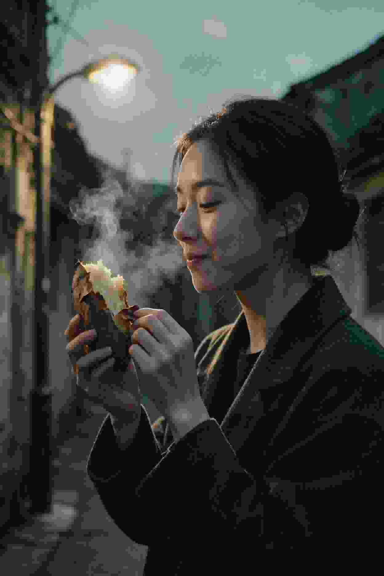 丛林冒险